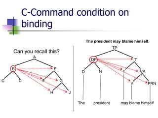 C-Command condition on
binding
The president may blame himself.
TP

Can you recall this?
A

DP

B
C

E
D

F

D

T'
N

G

H

T

VP

V

PRN

J
The

president

may blame himself

 