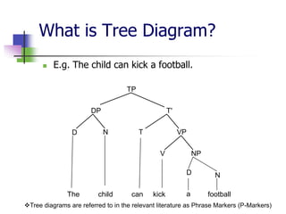 What is Tree Diagram?


E.g. The child can kick a football.
TP
DP
D

T'
N

T

VP
V

NP

D
The

child

can

kick

N

a

football

Tree diagrams are referred to in the relevant literature as Phrase Markers (P-Markers)

 