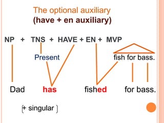 The optional auxiliary
(have + en auxiliary)
NP + TNS + HAVE + EN + MVP
Present fish for bass.
Dad has fished for bass.
+ singular
 