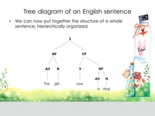 Tree diagram of an English sentence
• We can now put together the structure of a whole
sentence, hierarchically organized.
S
NP VP
Art N V NP
Art N
The girl saw
a dog
 