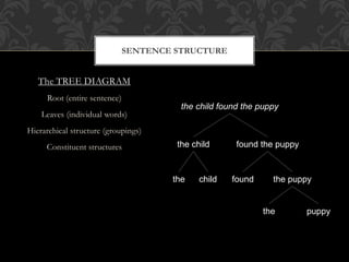 The TREE DIAGRAM
Root (entire sentence)
Leaves (individual words)
Hierarchical structure (groupings)
Constituent structures
SENTENCE STRUCTURE
the child found the puppy
the child found the puppy
the child found the puppy
the puppy
 