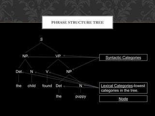 PHRASE STRUCTURE TREE
S
NP VP
Det N V NP
Det N
the puppy
foundchildthe Lexical Categories-lowest
categories in the tree.
Syntactic Categories
Node
 