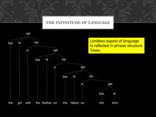 THE INFINITUDE OF LANGUAGE
NP
Det N PP
P NP
Det N PP
P NP
Det N PP
P NP
Det N
the girl with the feather on the ribbon on the brim
Limitless aspect of language
Is reflected in phrase structure
Trees.
 