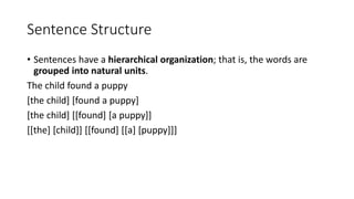 Sentence Structure
• Sentences have a hierarchical organization; that is, the words are
grouped into natural units.
The child found a puppy
[the child] [found a puppy]
[the child] [[found] [a puppy]]
[[the] [child]] [[found] [[a] [puppy]]]
 