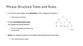 Phrase Structure Trees and Rules
• In a PS tree, every higher node dominates all the categories beneath it
• S dominates everything
• A node immediately dominates
the categories directly below it
• The VP immediately dominates the
V and the NP
• Sisters are categories that are immediately dominated by the same node
• The V and the NP are sisters
 