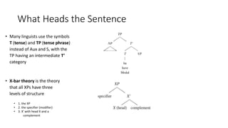 What Heads the Sentence
• Many linguists use the symbols
T (tense) and TP (tense phrase)
instead of Aux and S, with the
TP having an intermediate T’
category
• X-bar theory is the theory
that all XPs have three
levels of structure
• 1. the XP
• 2. the specifier (modifier)
• 3. X’ with head X and a
complement
 