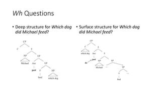 Wh Questions
• Deep structure for Which dog
did Michael feed?
• Surface structure for Which dog
did Michael feed?
 