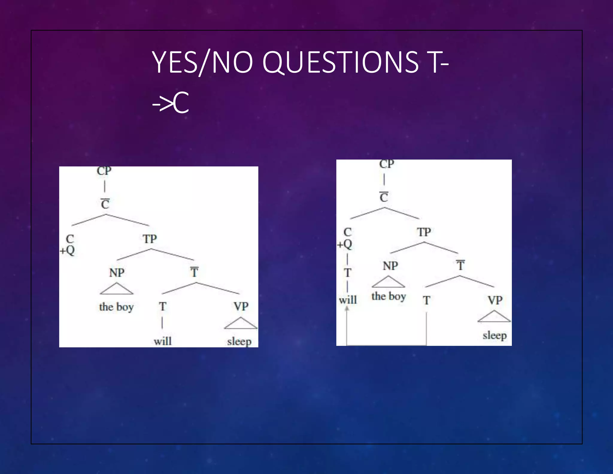 YES/NO QUESTIONS T-
‐>C
 