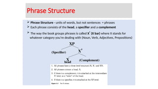  Phrase Structure - units of words, but not sentences = phrases
 Each phrase consists of the head, a specifier and a complement
 The way the book groups phrases is called X' (X bar) where X stands for
whatever category you’re dealing with (Noun, Verb, Adjectives, Prepositions)
XP
X'
X (Complement)
head
(Specifier)
Phrase Structure
 