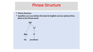  Phrase Structure
 Specifiers can occur before the head (in English) and are optional (they
attach at the Phrase level)
the
Det
NP
N'
N
presidents
Phrase Structure
 