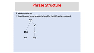 Phrase Structure
 Specifiers can occur before the head (in English) and are optional
the
Det
NP
N'
N
dog
Phrase Structure
 