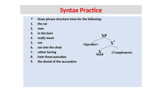  Draw phrase structure trees for the following:
1. the rat
2. men
3. in the barn
4. really mean
5. ran
6. ran into the shed
7. rather boring
8. hate those pancakes
9. the denial of the accusation
Syntax Practice
XP
X'
X (Complement)
head
(Specifier)
 