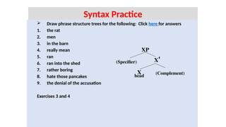  Draw phrase structure trees for the following: Click here for answers
1. the rat
2. men
3. in the barn
4. really mean
5. ran
6. ran into the shed
7. rather boring
8. hate those pancakes
9. the denial of the accusation
Exercises 3 and 4
Syntax Practice
XP
X'
X (Complement)
head
(Specifier)
 