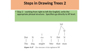 • Step 2 – working from right to left (for English), write the
appropriate phrasal structure. Specifiers go directly to XP level.
Steps in Drawing Trees 2
 