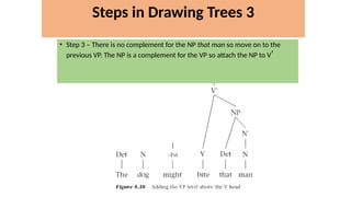 • Step 3 – There is no complement for the NP that man so move on to the
previous VP. The NP is a complement for the VP so attach the NP to V'
Steps in Drawing Trees 3
 