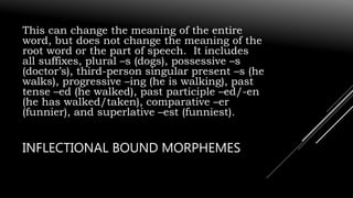 This can change the meaning of the entire
word, but does not change the meaning of the
root word or the part of speech. It includes
all suffixes, plural –s (dogs), possessive –s
(doctor’s), third-person singular present –s (he
walks), progressive –ing (he is walking), past
tense –ed (he walked), past participle –ed/-en
(he has walked/taken), comparative –er
(funnier), and superlative –est (funniest).
INFLECTIONAL BOUND MORPHEMES
 