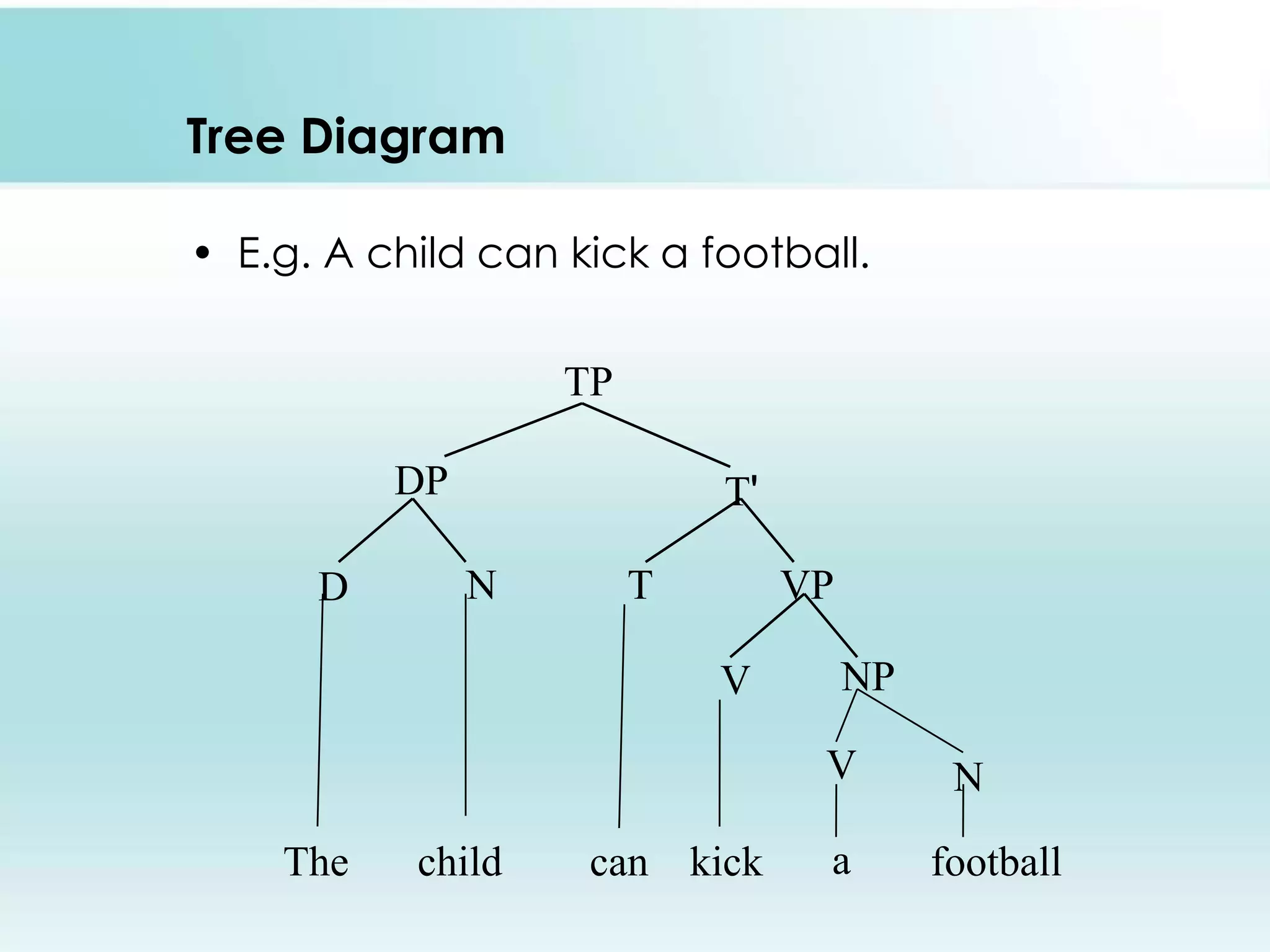 Tree Diagram
• E.g. A child can kick a football.
TP

DP
D

T'
N

T

VP
V

NP
V

The

child

can kick

a

N
football

 