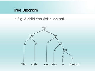 Tree Diagram
• E.g. A child can kick a football.
TP

DP
D

T'
N

T

VP
V

NP
V

The

child

can kick

a

N
football

 