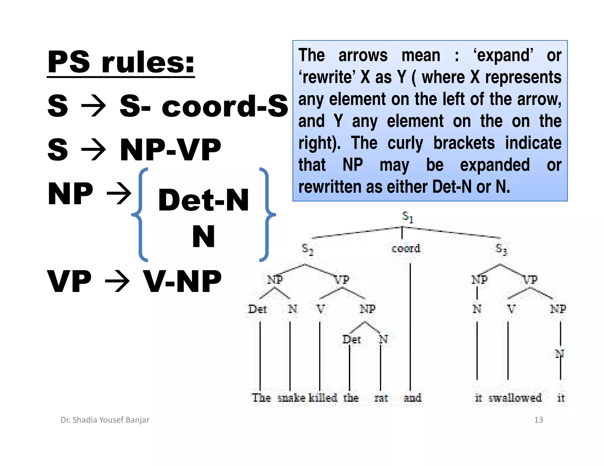 The arrows mean : ‘expand’ or
PS rules:                  ‘rewrite’ X as Y ( where X represents
                           any element on the left of the arrow,
S   S- coord-S             and Y any element on the on the
                           right). The curly brackets indicate
S   NP-VP                  that NP may be expanded or
                           rewritten as either Det-N or N.
NP     Det-N
         N
VP    V-NP



Dr. Shadia Yousef Banjar                                    13
 