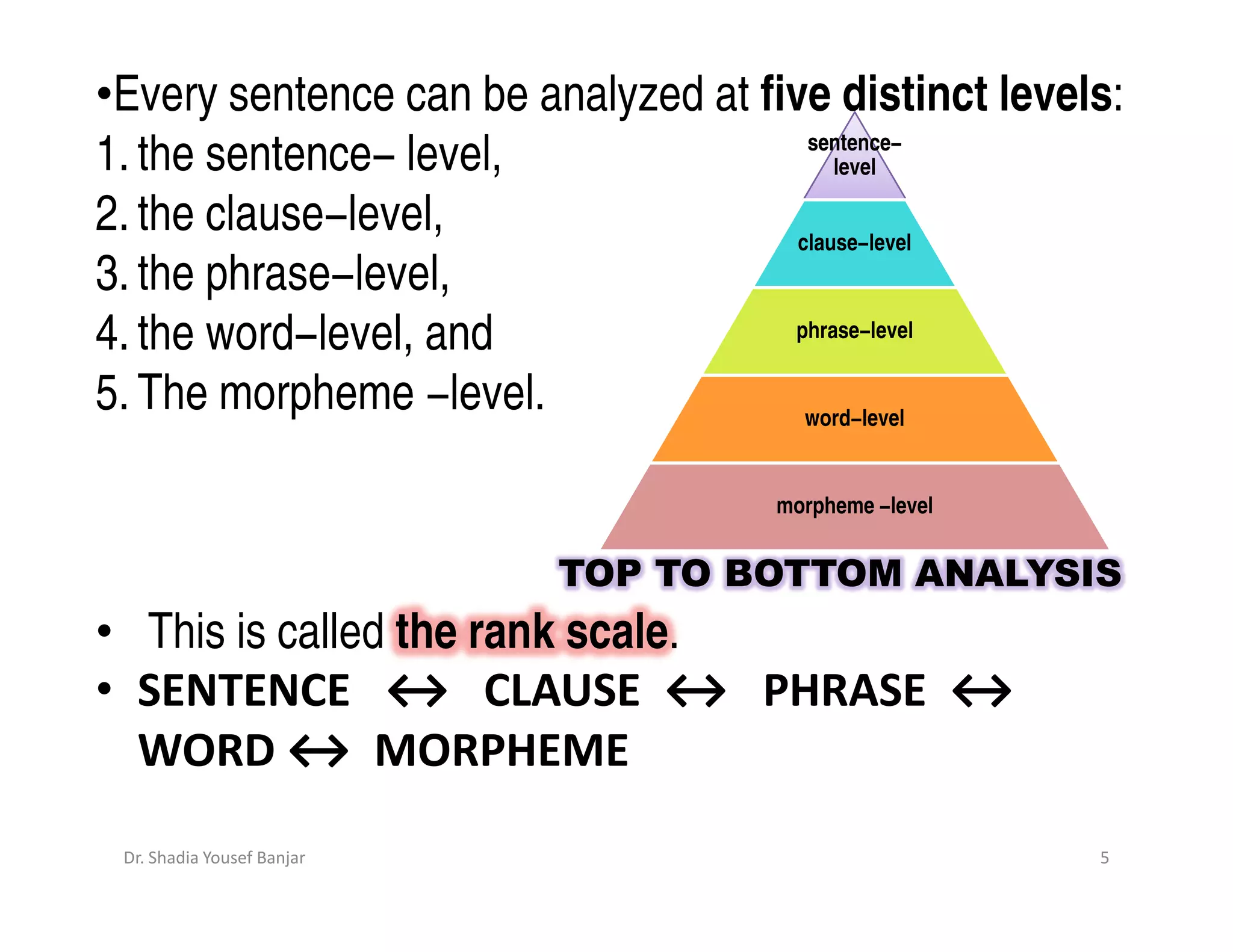 •Every sentence can be analyzed at five distinct levels:
                                       sentence−
1. the sentence− level,                   level

2. the clause−level,                  clause−level
3. the phrase−level,
4. the word−level, and               phrase−level


5. The morpheme −level.                word−level


                                     morpheme −level


                            TOP TO BOTTOM ANALYSIS
• This is called the rank scale.
• SENTENCE ↔ CLAUSE ↔ PHRASE ↔
  WORD ↔ MORPHEME
 Dr. Shadia Yousef Banjar                              5
 