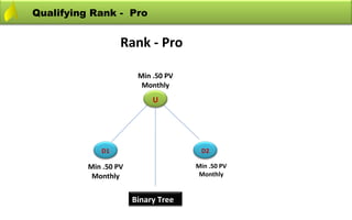 Qualifying Rank - Pro


                   Rank - Pro

                        Min .50 PV
                         Monthly
                            U




             D1                       D2

          Min .50 PV                 Min .50 PV
           Monthly                    Monthly


                       Binary Tree
 