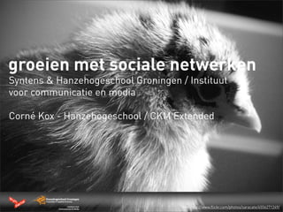 groeien met sociale netwerken
Syntens & Hanzehogeschool Groningen / Instituut
voor communicatie en media

Corné Kox - Hanzehogeschool / CKM Extended




                                     foto: http://www.flickr.com/photos/saracate/4556271249/
 