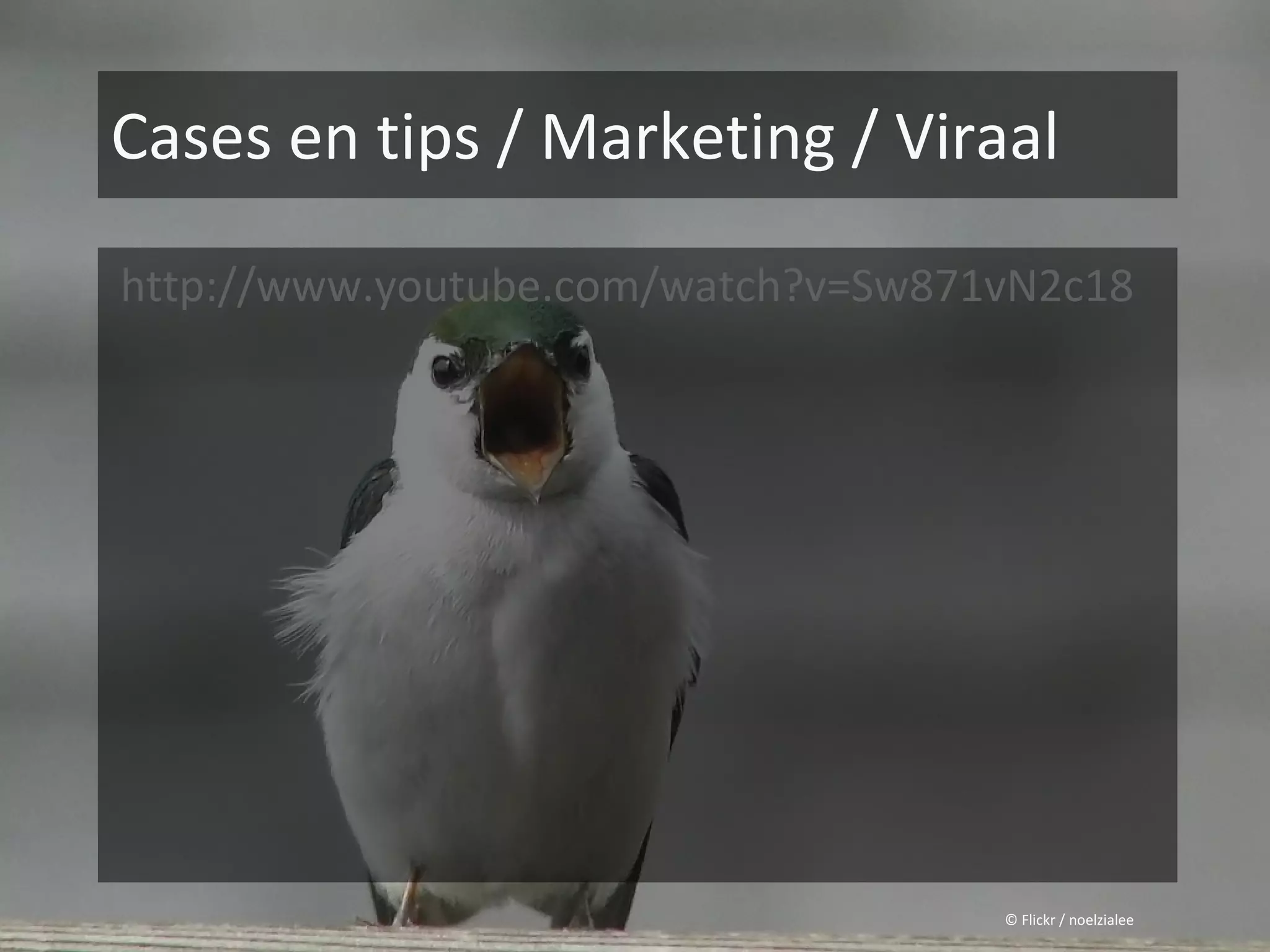 Cases en tips / Marketing / Viraal

http://www.youtube.com/watch?v=Sw871vN2c18




                                    © Flickr / noelzialee
 