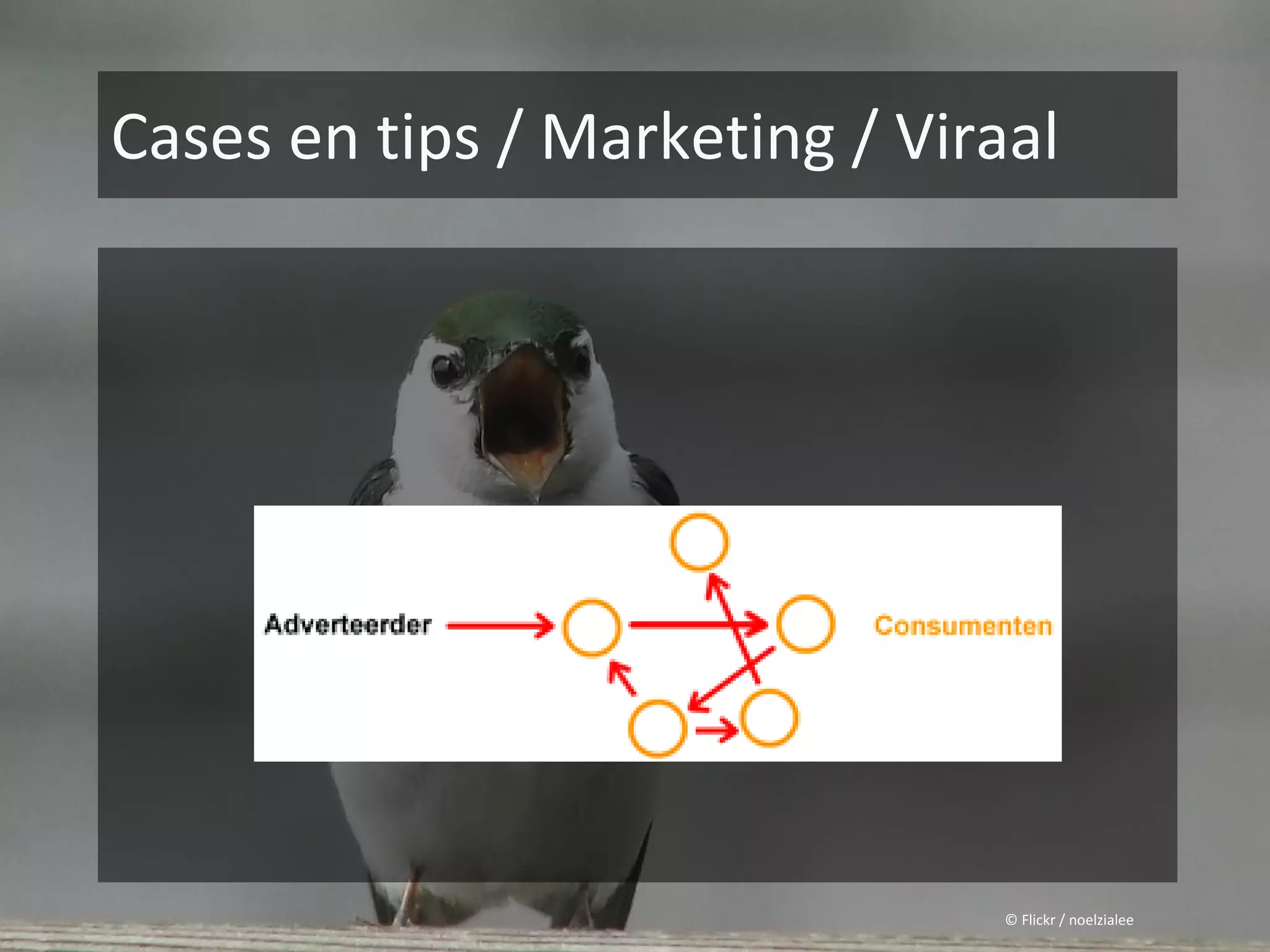 Cases en tips / Marketing / Viraal




                                © Flickr / noelzialee
 