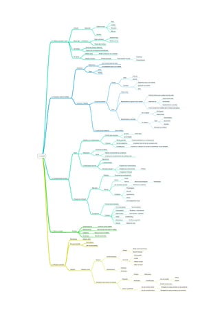 Sang

                                                                                                                                       Lymphe
                                                                                                       Théorie humeur
                                                      Antiquité              Hippocrate                                                Bile jaune

                                                                                                                                       Bile noir

                                                                                                       Équilibre

                                                                                                                                     Volonté de dieu
                                                                                                    Église catholique
             C 1 Histoire conception santé            Moyen âge --> renaissance                                                      Pêchés commis

                                                                                                    Théorie des humeurs

                                                                               Déclin des théories religieuses
                                                      XVII siècles
                                                                               Progrès des connaissances biomédicales

                                                                              Maladie aiguë                   Modèle consensuel voir coopératif

                                                      XX siècles                                                                                                                               Croyances
                                                                              Maladie chronique                   Modèle participatif                Psychologie de la santé
                                                                                                                                                                                               Comportements

                                                                                                                     Les comportements de santé
                                                                                        Déterminent
                                                                                                                     Les adaptations face à une maladie
                                                              Croyances
                                                                                                             Santé
                                                                                        Types
                                                                                                             Maladie

                                                                                                                                                                                       Externes
                                                                                                                                                                  Types
                                                                                                                                                                                       Internes

                                                                                                                                        Causes                                                       Adaptations face à une maladie

                                                                                                                                                                  Fonctions                          Sentiment de contrôle

                                                                                                                                                                                                     Sens

                                                                                                                                                              Théorie naïve

                                                                                                                                                                                                                            Guide les actions que le patient est prêt à faire
             C 2 Croyance / santé et maladie
                                                                                                                                                                                                                                                       Histoire personnelle

                                                                                                    Croyances profanes                                        Représentations cognitive de la maladie                       Dépendant de               Personnalité
                                                              Croyances / Maladie
                                                                                                                                                                                                                                                       Représentations culturelles

                                                                                                                                                                                                                            À tenir compte (voir modiﬁer) dans la relation participative
                                                                                                                                        Sens
                                                                                                                                                                                                                                            Ontologique
                                                                                                                                                                                                             De la maladie
                                                                                                                                                                                                                                            Hippocratique

                                                                                                                                                                                                                                                          Chamanistique
                                                                                                                                                              Représentations culturelles
                                                                                                                                                                                                                                         Types            Sacerdotale
                                                                                                                                                                                                             Du médecin
                                                                                                                                                                                                                                                          Actuelles

                                                                                                                                                                                                                                         Motivation du médecin

                                                                                                    # croyances des médecins                    Savoir médical

                                                                                                                                                                   de santé                 Health belief
                                                                                                                          Fonction des croyances
                                                                                                                                                                   sur la maladie

                                                                          Adoption d un comportement                                                Attitude générale                 Croyance générale sur un comportement

                                                                                                                          3 facteurs                Normes subjectives                  Acceptation des normes sur sa propre santé

                                                                                                                                                    Contrôle perçu                  Croyance en l adoption du nouveau comportement, en son efﬁcacité

                                                                                                      Croyances du patient

                                                      Santé               Deterlinants                                    Réaction émotionnelle aux symptômes
                                                                                                      Autres
C La santé                                                                                                                Croyances et comportements des professionnels

                                                                                                                     Style de vie

                                                                                                                     7 comportements

                                                                          Comportement de santé                                                             Programme de santé publique

                                                                                                                     Comment changer ?                      Changer les environnements                      Politique

                                                                                                                                                            Changement individuel

                                                                                                                        Déﬁnition              Dynamise les comportements

             C 3 Comportements de santé                                                                                                                             Animal
                                                                                                                                               Instinct
                                                                                                                                                                    Homme                   Besoins physiologiques                   Homéostasie

                                                                                                                                               De l activation optimale                 Recherche d incitations

                                                                                                Motivation                                                                 Physiologique
                                                                                                                        Théories
                                                                                                                                                                           Sécurité

                                                                                                                                               De Maslow                   Appartenance

                                                                                                                                                                           Estime
                                                      Changement individuel
                                                                                                                                                                           Accomplissement de soi

                                                                                                                          Fonction de la motivation

                                                                                                                                                   Pré contemplation                  Pas de problème

                                                                                                                                                   Contemplation                Bénéﬁces = inconvénients

                                                                                                Changement                                         Détermination                Inconvénients > bénéﬁces
                                                                                                                          6 étapes
                                                                                                                                                   Action            Contrôle perçu

                                                                                                                                                   Maintenance                 Conﬁance augmenté

                                                                                                                                                   Rechute                Reprise du cycle

                                                                          Unidimensionnel                    Continuum santé maladie

                                                                          Bidimensionnel                 Discontinuité entre santé et maladie
             C 4 Santé et maladie                  Modelés
                                                                          Intégrative               Ressource pour se réaliser

                                                                          Dynamique                  Multi dimensionnelle

                                               Biomédicale                Maladie aiguë

                                                                                Multi facteurs
                                               Bio psychosociale
                                                                                État de santé globale

                                                                                                                                                                                        Niveau socio economique
                                                                                                                                                                 Globale
                                                                                                                                                                                        Minorité ethnique

                                                                                                                                                                                           Communauté
                                                                                                                             environnementaux
                                                                                                                                                                                           Famille
                                                                                                      Facteurs                                                   Proximale
                                                                                                                                                                                           Relation sociale

             C 5 Modeles explicatifs                                                                                                                                                       Milieu de travail

                                                                                                                                                              Prédicteur
                                               Intégratif            Interaction entre                                       psychosociaux
                                                                                                                                                              Modérateur

                                                                                                                                                                                         Primaire                 Stress perçu

                                                                                                                                                                                                                                                                                Interne
                                                                                                                                                                Évaluation                                                                        Lieu de contrôle
                                                                                                                                                                                         Secondaire                     Contrôle perçu                                          Externe
                                                                                                      Transaction entre individu et contexte
                                                                                                                                                                                                                                                  Soutient sociale perçu

                                                                                                                                                                                                            Lieu de controle Interne                Stratégies de coping centrées sur les problèmes
                                                                                                                                                                Coping / ajustement
                                                                                                                                                                                                            Lieu de controle Externe               Stratégies de coping centrées sur les émotions
 