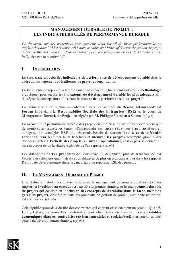 Exemple De Synthese Professionnelle