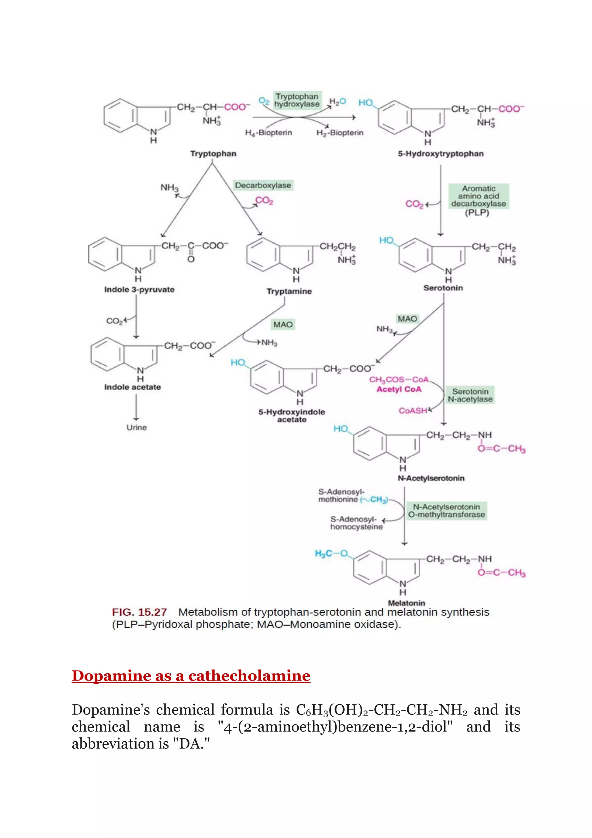 Dopamine as a cathecholamine
Dopamine’s chemical formula is C6H3(OH)2-CH2-CH2-NH2 and its
chemical name is "4-(2-aminoethyl)benzene-1,2-diol" and its
abbreviation is "DA."
 