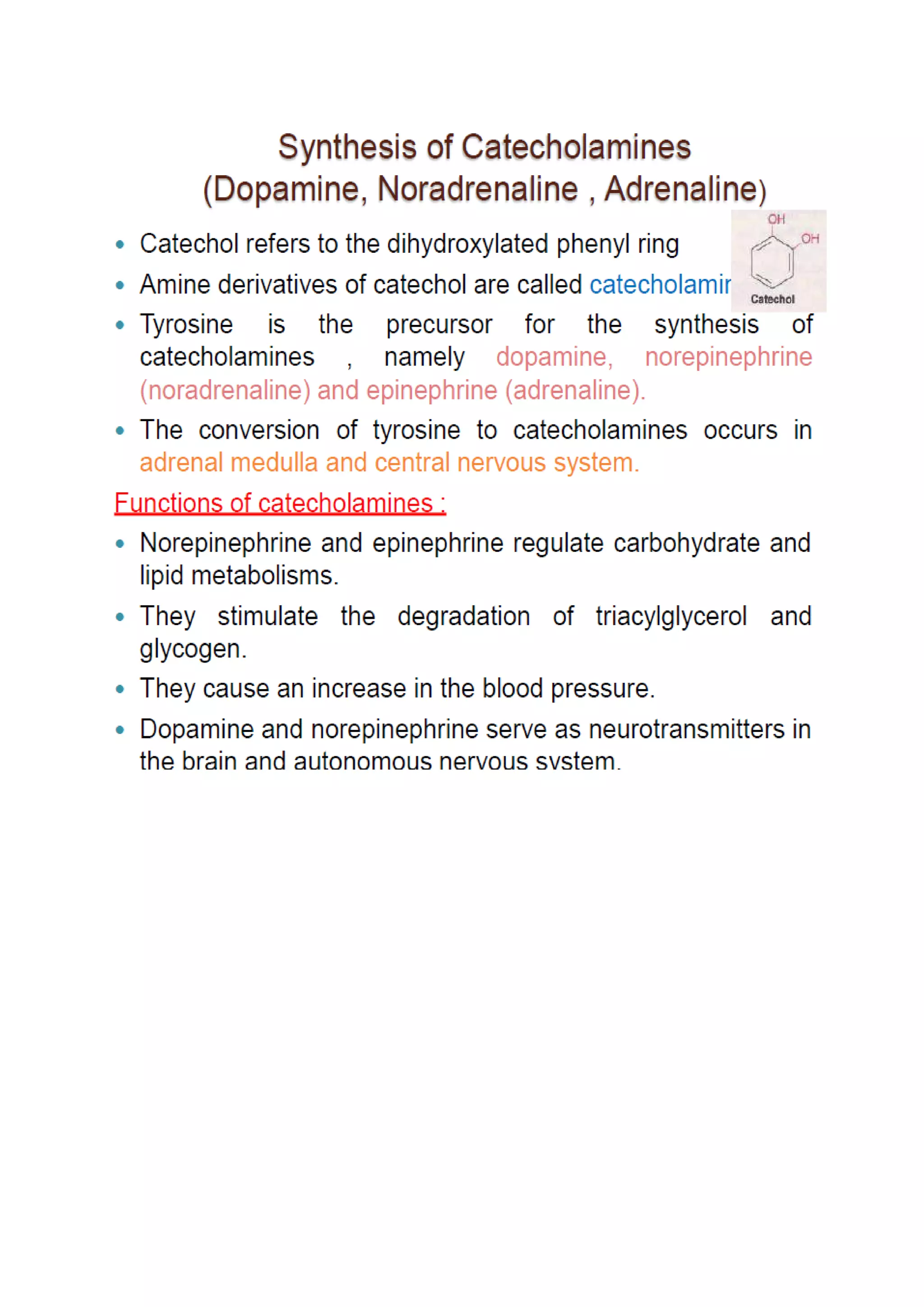 Synthesis and significance of biological substances by BNP.pdf