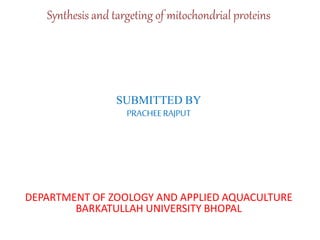 Synthesis and targeting of mitochondrial proteins | PPTX