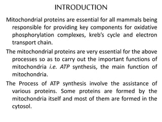 Synthesis and targeting of mitochondrial proteins | PPTX
