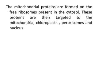 Synthesis and targeting of mitochondrial proteins | PPTX
