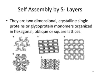 Particle Self Assembly Layer Synthesis Of Nanomaterials: Biological Methods | PPTX