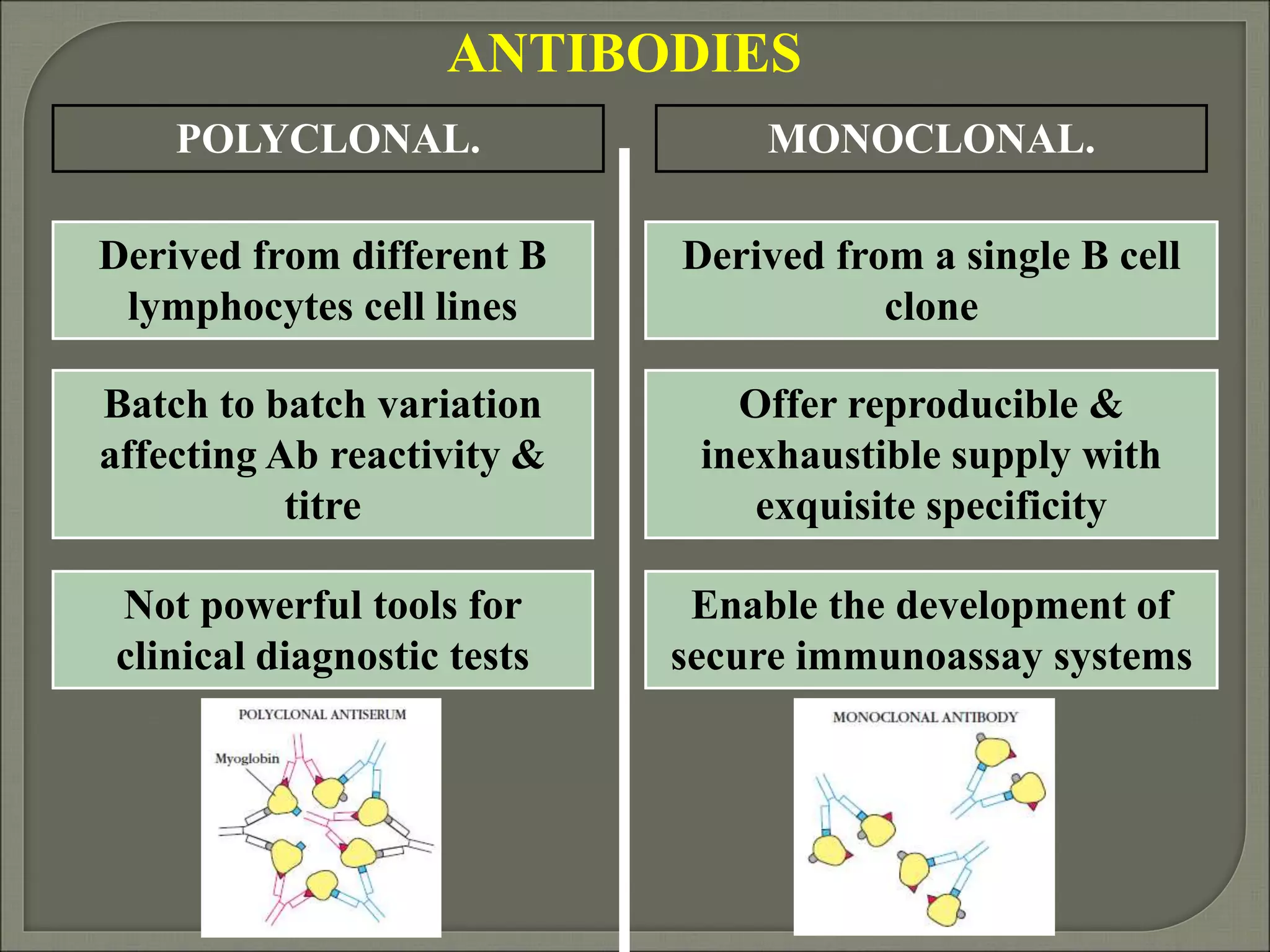 Synthesis, isolation and importance of monoclonal antibodies | PPT