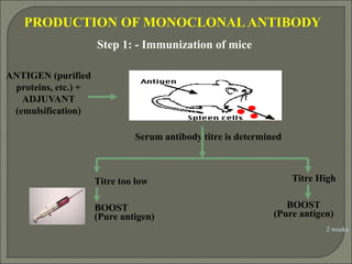 Synthesis, isolation and importance of monoclonal antibodies | PPT