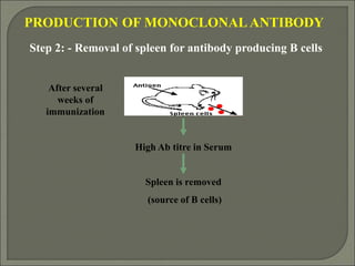 Synthesis, isolation and importance of monoclonal antibodies | PPT