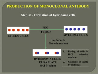 Synthesis, isolation and importance of monoclonal antibodies | PPT
