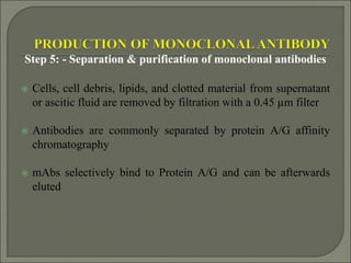 Synthesis, isolation and importance of monoclonal antibodies | PPT