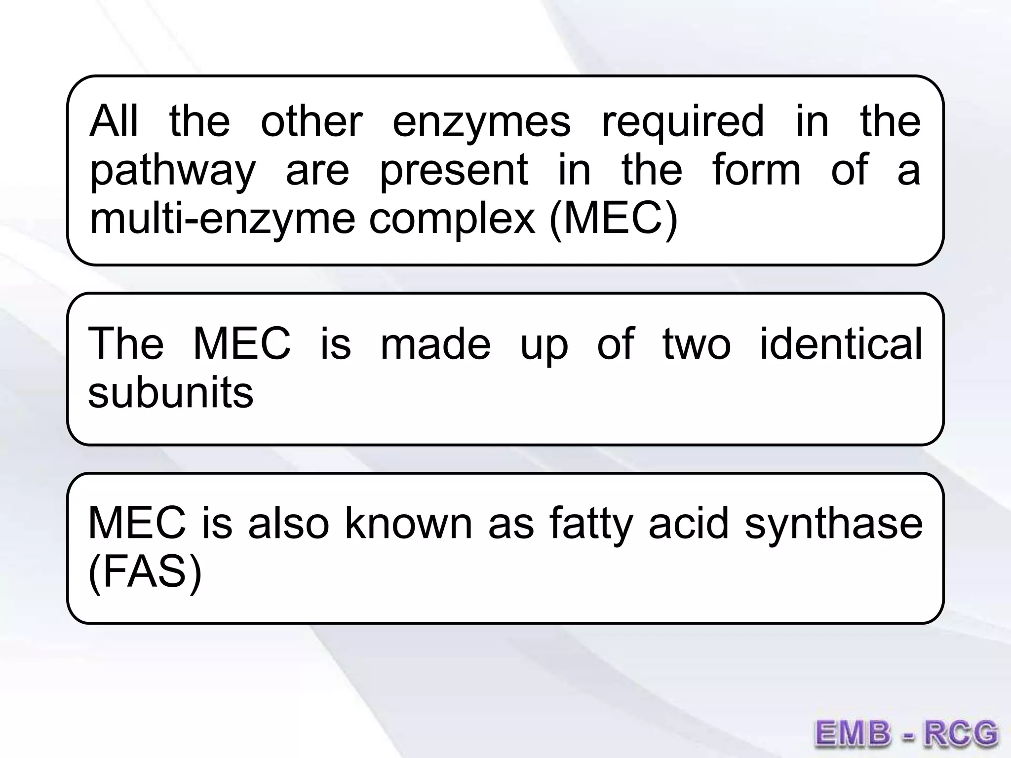 All the other enzymes required in the
pathway are present in the form of a
multi-enzyme complex (MEC)
The MEC is made up of two identical
subunits
MEC is also known as fatty acid synthase
(FAS)
 