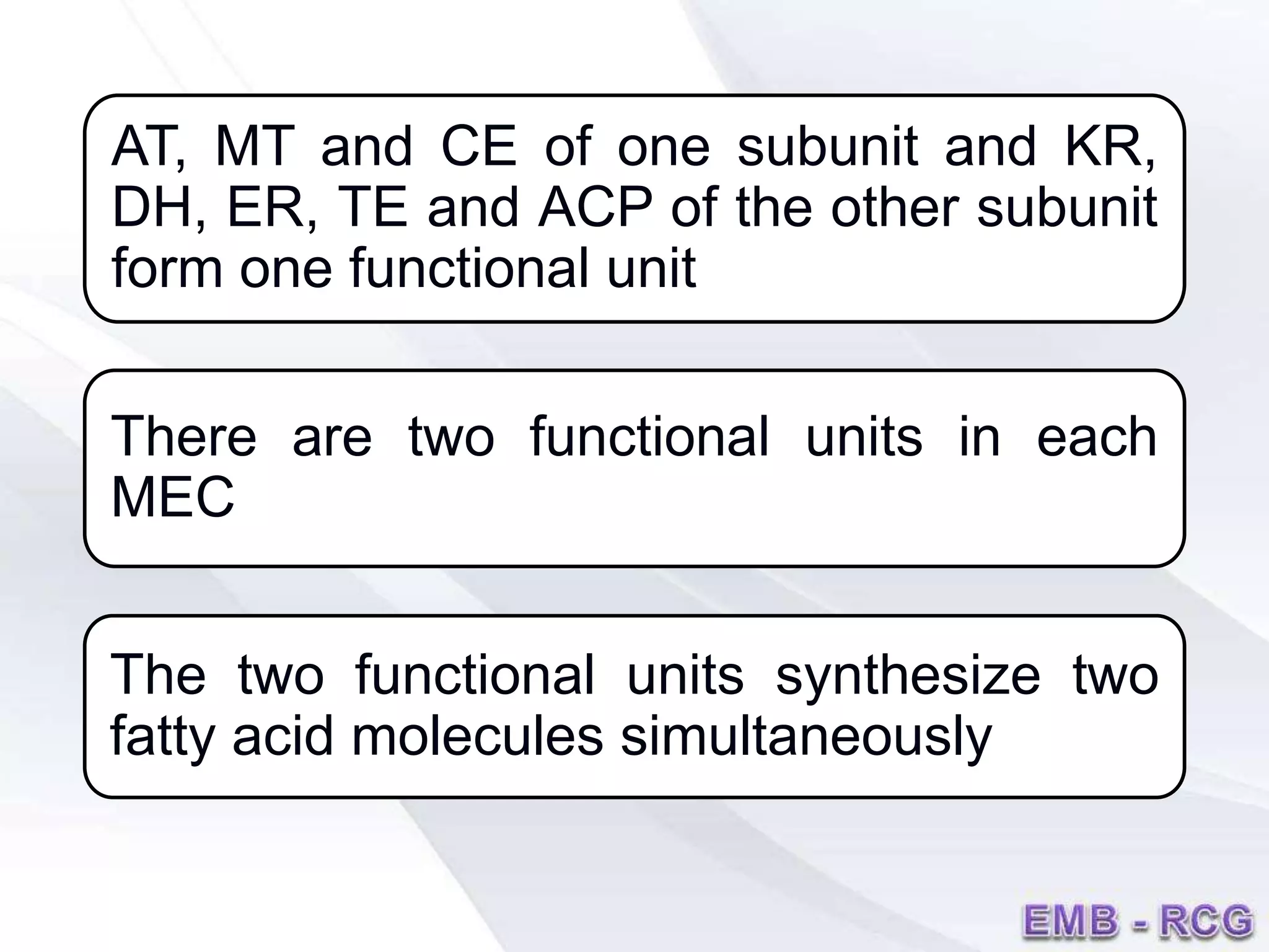 AT, MT and CE of one subunit and KR,
DH, ER, TE and ACP of the other subunit
form one functional unit
There are two functional units in each
MEC
The two functional units synthesize two
fatty acid molecules simultaneously
 