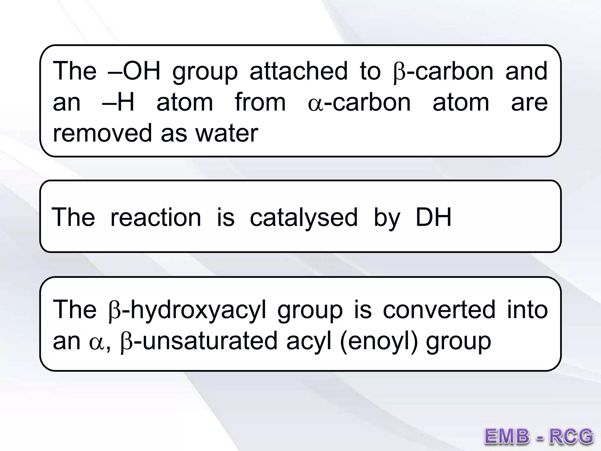 The –OH group attached to b-carbon and
an –H atom from a-carbon atom are
removed as water
The reaction is catalysed by DH
The b-hydroxyacyl group is converted into
an a, b-unsaturated acyl (enoyl) group
 