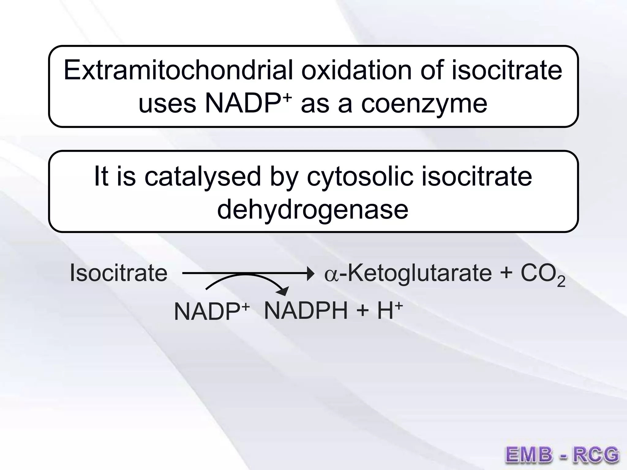 Extramitochondrial oxidation of isocitrate
uses NADP+ as a coenzyme
It is catalysed by cytosolic isocitrate
dehydrogenase
Isocitrate a-Ketoglutarate + CO2
NADP+ NADPH + H+

 