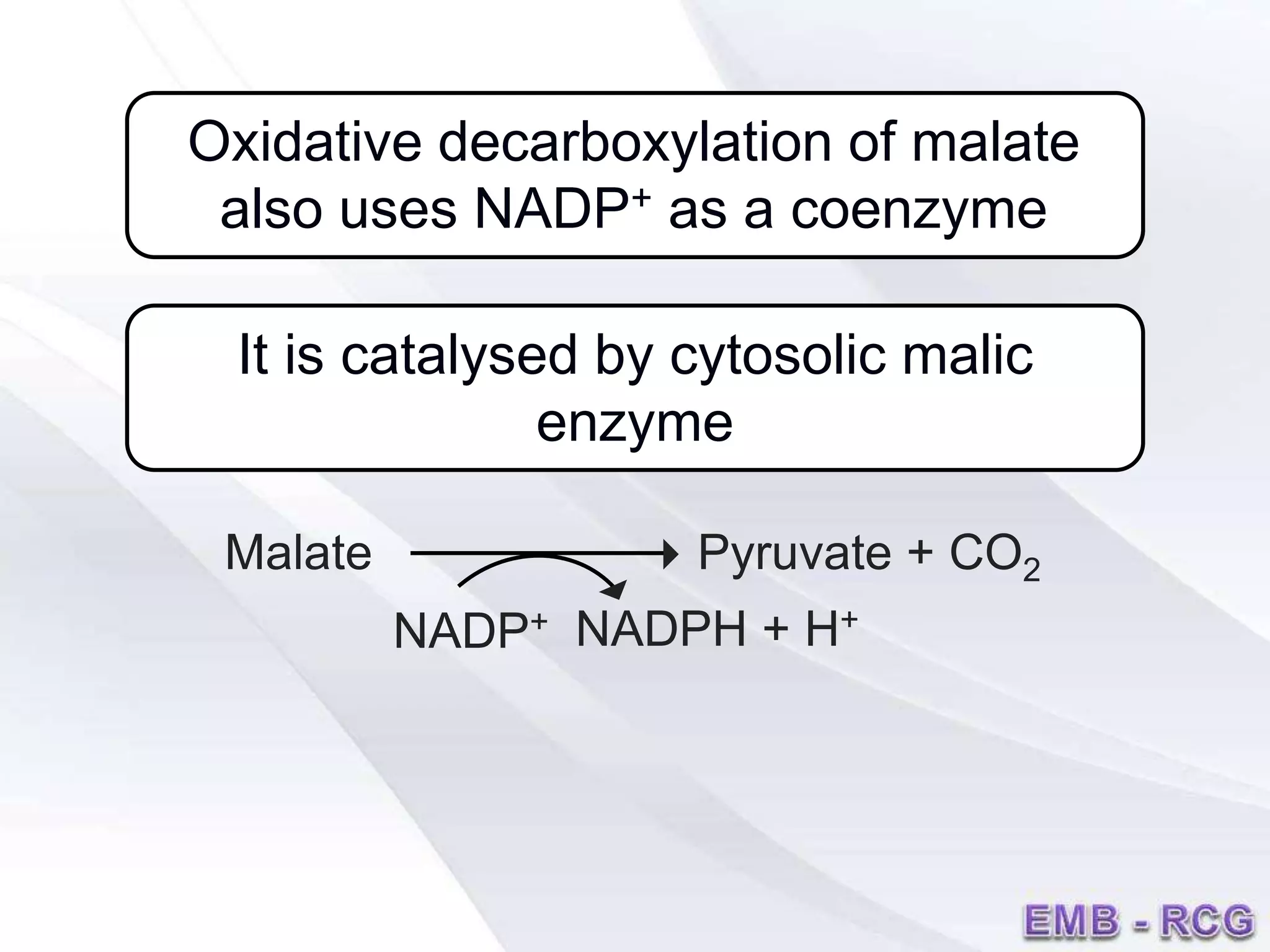 Malate Pyruvate + CO2
NADP+ NADPH + H+

Oxidative decarboxylation of malate
also uses NADP+ as a coenzyme
It is catalysed by cytosolic malic
enzyme
 