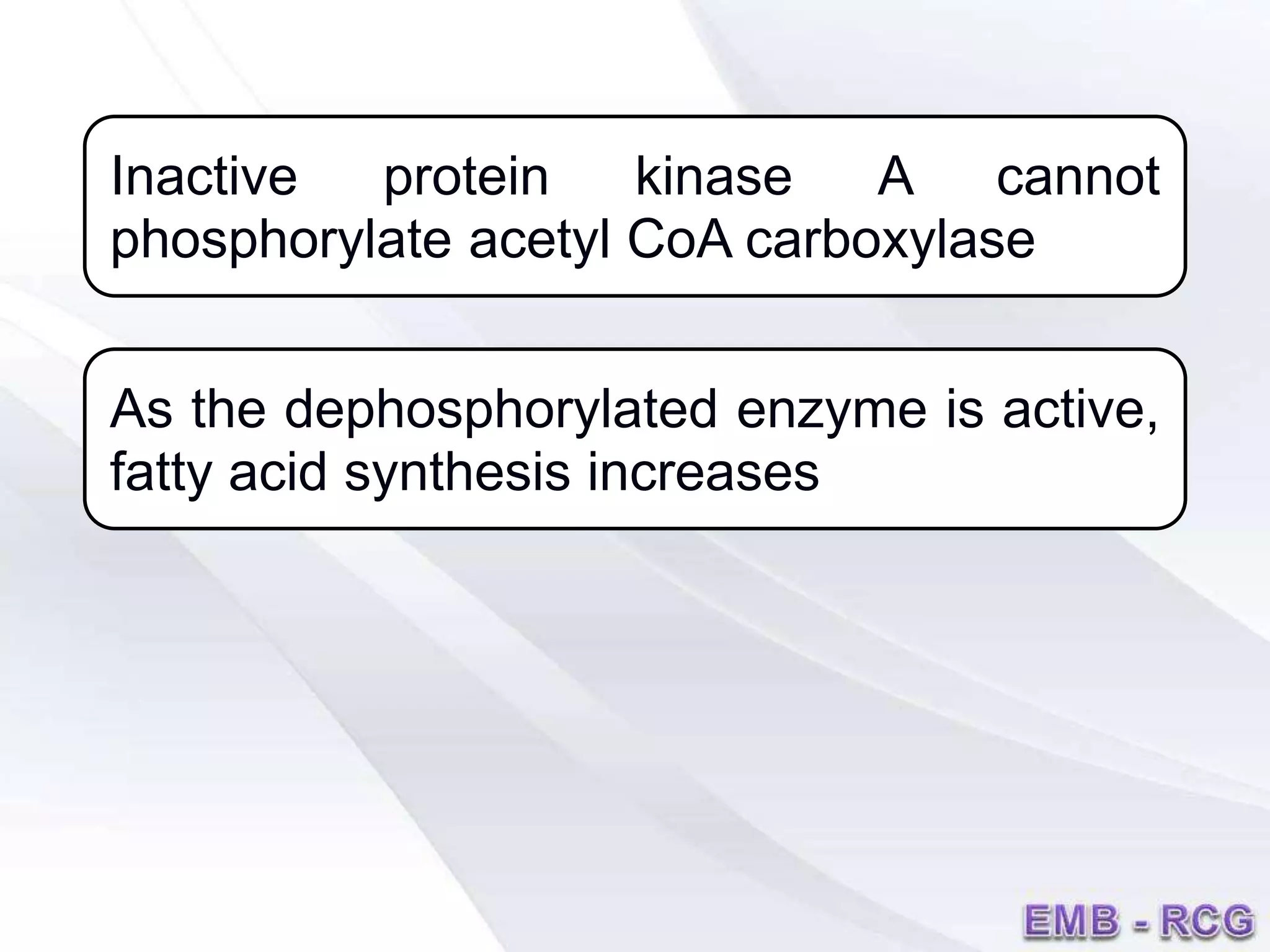 Inactive protein kinase A cannot
phosphorylate acetyl CoA carboxylase
As the dephosphorylated enzyme is active,
fatty acid synthesis increases
 