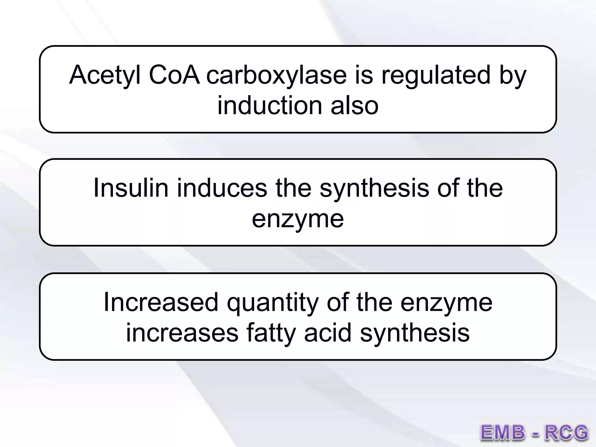Acetyl CoA carboxylase is regulated by
induction also
Insulin induces the synthesis of the
enzyme
Increased quantity of the enzyme
increases fatty acid synthesis
 