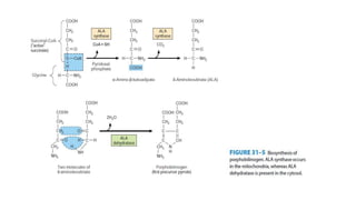 Synthesis of heam 20 21 | PPT