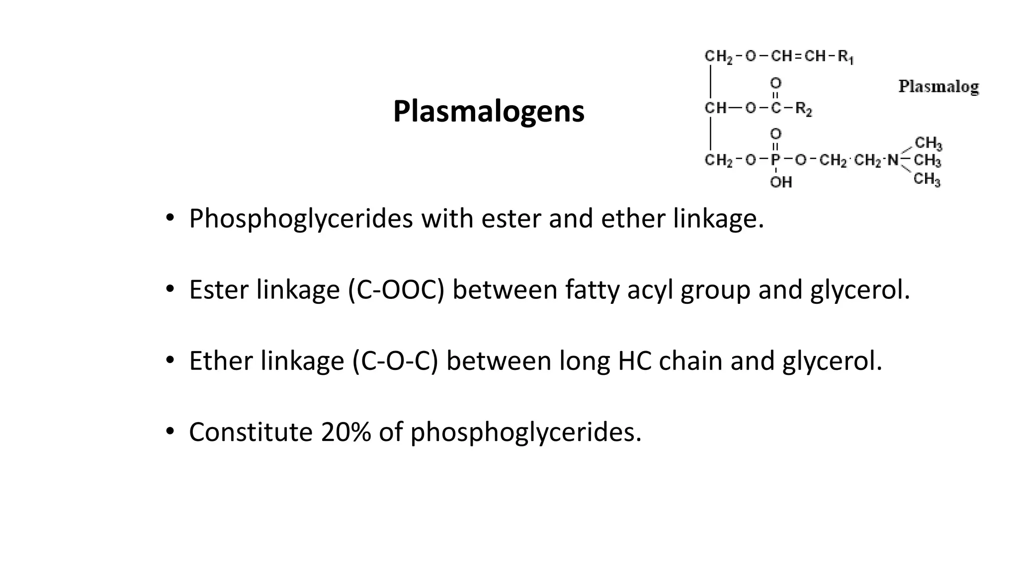 Plasmalogens
• Phosphoglycerides with ester and ether linkage.
• Ester linkage (C-OOC) between fatty acyl group and glycerol.
• Ether linkage (C-O-C) between long HC chain and glycerol.
• Constitute 20% of phosphoglycerides.
 